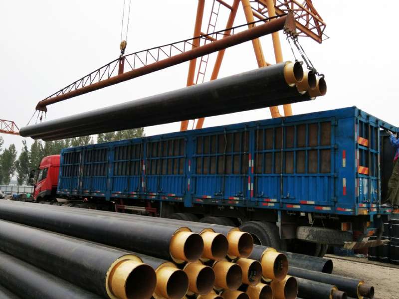 רҵ�������Ŷ�